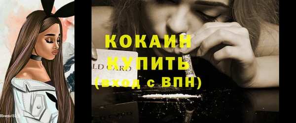 бошки Белокуриха