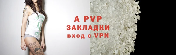 бошки Белокуриха