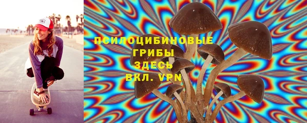 тгк Балахна