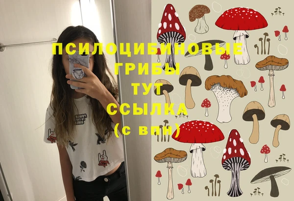 бошки Белокуриха