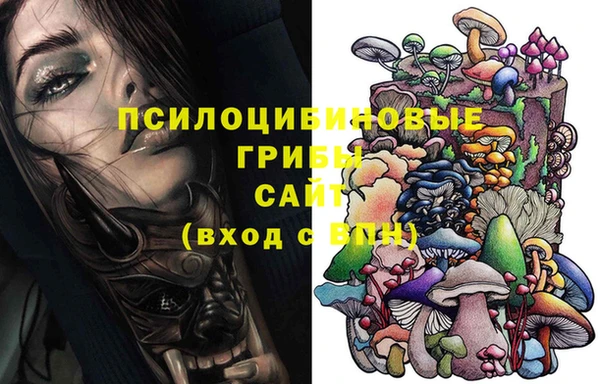 бошки Белокуриха
