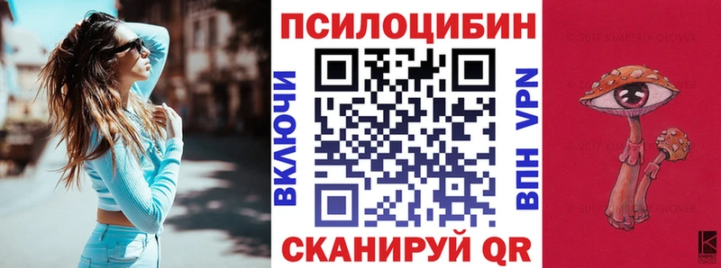 Галлюциногенные грибы Psilocybe  Салаир 